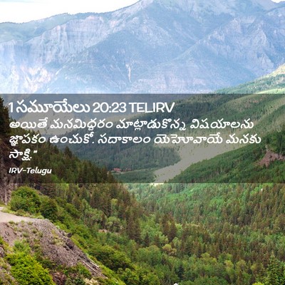 Picture 02 - 1 సమూయేలు 20:23 TELIRV - అయితే మనమిద్దరం - Bible Verse Picture
