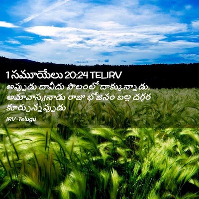 Picture 02 - 1 సమూయేలు 20:24 TELIRV - అప్పుడు దావీదు - Bible Verse Picture