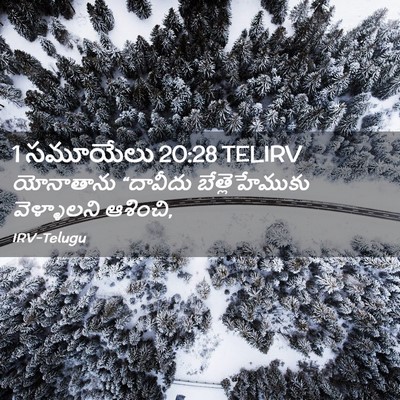 Picture 02 - 1 సమూయేలు 20:28 TELIRV - యోనాతాను “దావీదు - Bible Verse Picture