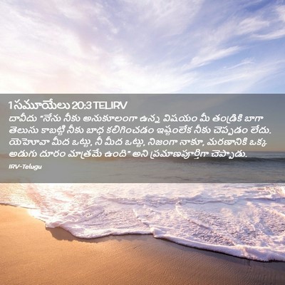 Picture 02 - 1 సమూయేలు 20:3 TELIRV - దావీదు “నేను నీకు - Bible Verse Picture