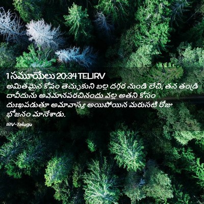 Picture 02 - 1 సమూయేలు 20:34 TELIRV - అమితమైన కోపం - Bible Verse Picture