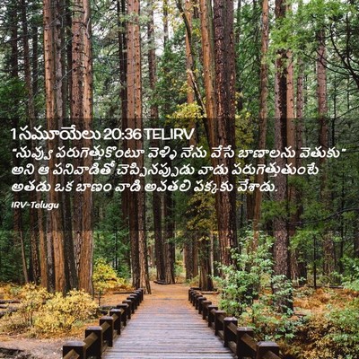 Picture 02 - 1 సమూయేలు 20:36 TELIRV - “నువ్వు - Bible Verse Picture