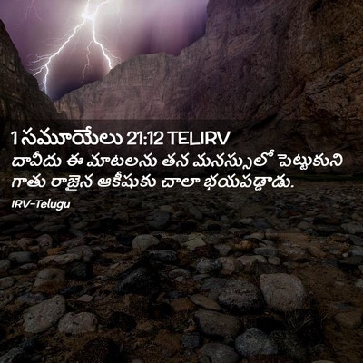 Picture 02 - 1 సమూయేలు 21:12 TELIRV - దావీదు ఈ మాటలను తన - Bible Verse Picture
