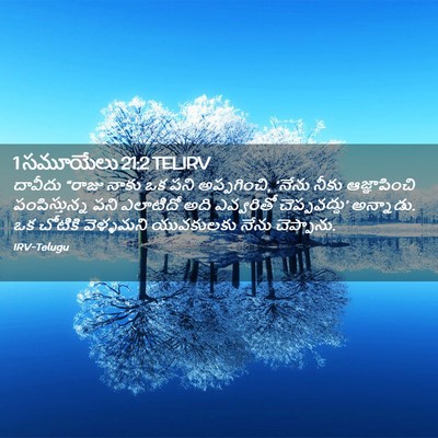 Picture 02 - 1 సమూయేలు 21:2 TELIRV - దావీదు “రాజు నాకు - Bible Verse Picture