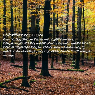 Picture 02 - 1 సమూయేలు 22:13 TELIRV - సౌలు “నువ్వు, - Bible Verse Picture