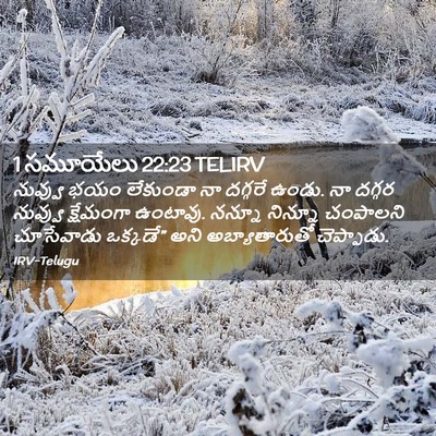 Picture 02 - 1 సమూయేలు 22:23 TELIRV - నువ్వు భయం - Bible Verse Picture