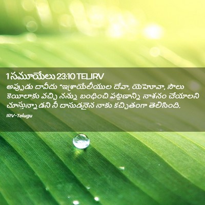 Picture 02 - 1 సమూయేలు 23:10 TELIRV - అప్పుడు దావీదు - Bible Verse Picture