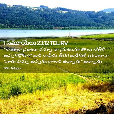 Picture 02 - 1 సమూయేలు 23:12 TELIRV - “కెయీలా ప్రజలు - Bible Verse Picture