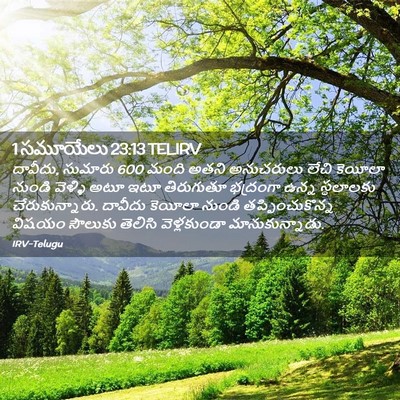 Picture 02 - 1 సమూయేలు 23:13 TELIRV - దావీదు, సుమారు 600 - Bible Verse Picture