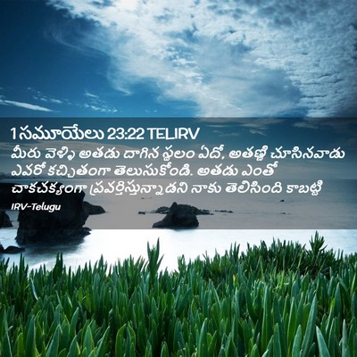 Picture 02 - 1 సమూయేలు 23:22 TELIRV - మీరు వెళ్ళి అతడు - Bible Verse Picture