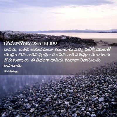 Picture 02 - 1 సమూయేలు 23:5 TELIRV - దావీదు, అతని - Bible Verse Picture