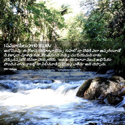 Picture 02 - 1 సమూయేలు 24:10 TELIRV - ఆలోచించు. ఈ రోజున - Bible Verse Picture