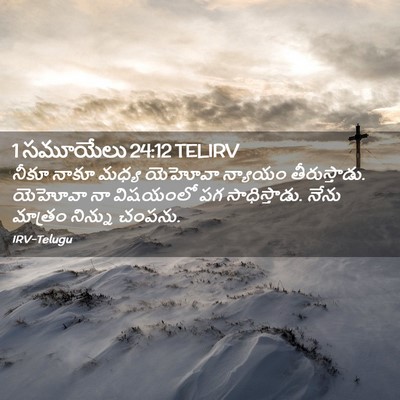 Picture 02 - 1 సమూయేలు 24:12 TELIRV - నీకూ నాకూ మధ్య - Bible Verse Picture