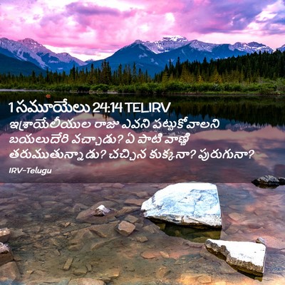 Picture 02 - 1 సమూయేలు 24:14 TELIRV - ఇశ్రాయేలీయుల రాజు - Bible Verse Picture