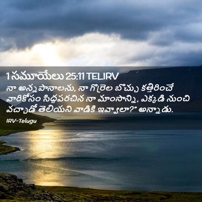 Picture 02 - 1 సమూయేలు 25:11 TELIRV - నా అన్నపానాలను, నా - Bible Verse Picture