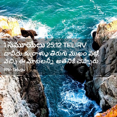 Picture 02 - 1 సమూయేలు 25:12 TELIRV - దావీదు కుర్రాళ్ళు - Bible Verse Picture