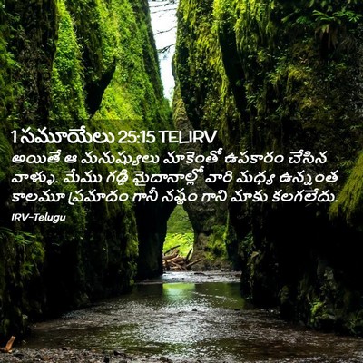 Picture 02 - 1 సమూయేలు 25:15 TELIRV - అయితే ఆ మనుష్యులు - Bible Verse Picture