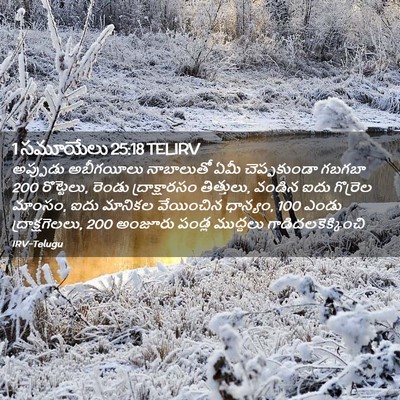 Picture 02 - 1 సమూయేలు 25:18 TELIRV - అప్పుడు అబీగయీలు - Bible Verse Picture