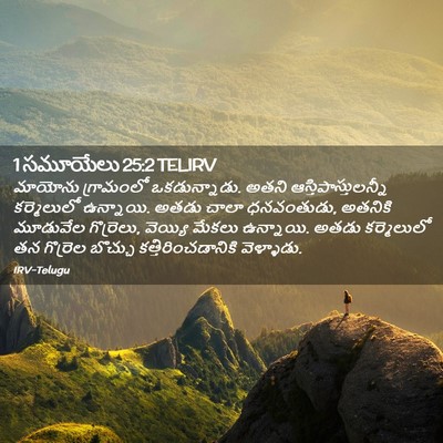 Picture 02 - 1 సమూయేలు 25:2 TELIRV - మాయోను గ్రామంలో - Bible Verse Picture