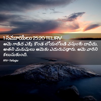 Picture 02 - 1 సమూయేలు 25:20 TELIRV - ఆమె గాడిద ఎక్కి - Bible Verse Picture