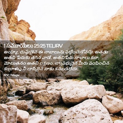 Picture 02 - 1 సమూయేలు 25:25 TELIRV - అయ్యా, దుష్టుడైన ఈ - Bible Verse Picture