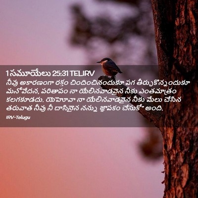 Picture 02 - 1 సమూయేలు 25:31 TELIRV - నీవు అకారణంగా - Bible Verse Picture