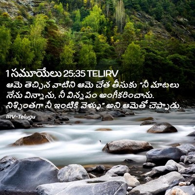 Picture 02 - 1 సమూయేలు 25:35 TELIRV - ఆమె తెచ్చిన - Bible Verse Picture
