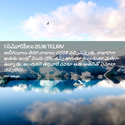 Picture 02 - 1 సమూయేలు 25:36 TELIRV - అబీగయీలు తిరిగి - Bible Verse Picture