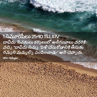 Picture 02 - 1 సమూయేలు 25:40 TELIRV - దావీదు సేవకులు - Bible Verse Picture