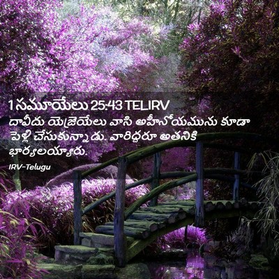 Picture 02 - 1 సమూయేలు 25:43 TELIRV - దావీదు యెజ్రెయేలు - Bible Verse Picture
