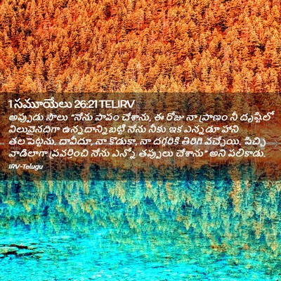 Picture 02 - 1 సమూయేలు 26:21 TELIRV - అప్పుడు సౌలు - Bible Verse Picture