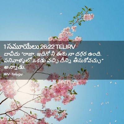 Picture 02 - 1 సమూయేలు 26:22 TELIRV - దావీదు “రాజా, - Bible Verse Picture
