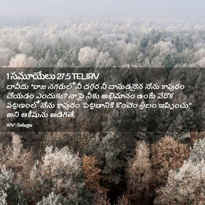 Picture 02 - 1 సమూయేలు 27:5 TELIRV - దావీదు “రాజ - Bible Verse Picture