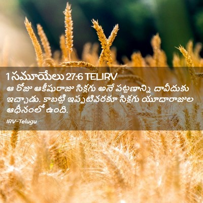 Picture 02 - 1 సమూయేలు 27:6 TELIRV - ఆ రోజు ఆకీషురాజు - Bible Verse Picture