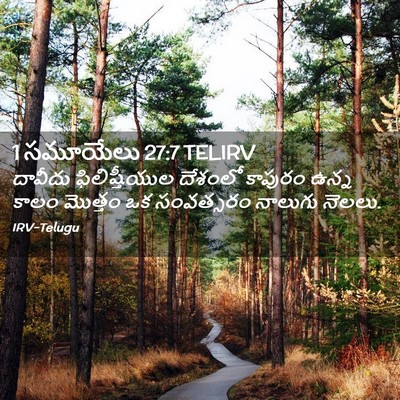 Picture 02 - 1 సమూయేలు 27:7 TELIRV - దావీదు - Bible Verse Picture