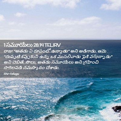 Picture 02 - 1 సమూయేలు 28:14 TELIRV - రాజు “అతడు ఏ - Bible Verse Picture