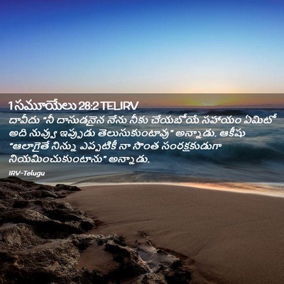 Picture 02 - 1 సమూయేలు 28:2 TELIRV - దావీదు “నీ - Bible Verse Picture