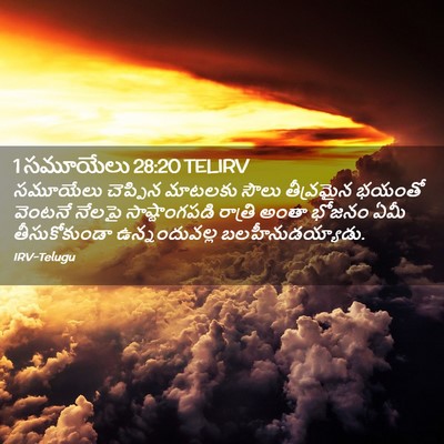 Picture 02 - 1 సమూయేలు 28:20 TELIRV - సమూయేలు చెప్పిన - Bible Verse Picture