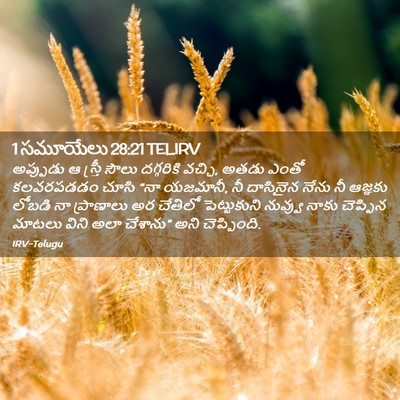 Picture 02 - 1 సమూయేలు 28:21 TELIRV - అప్పుడు ఆ స్త్రీ - Bible Verse Picture