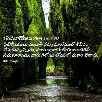 Picture 02 - 1 సమూయేలు 28:4 TELIRV - ఫిలిష్తీయులు - Bible Verse Picture