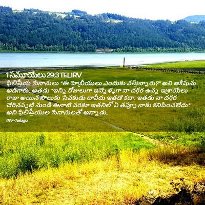 Picture 02 - 1 సమూయేలు 29:3 TELIRV - ఫిలిష్తీయ - Bible Verse Picture