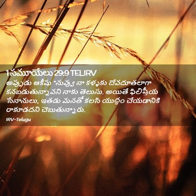 Picture 02 - 1 సమూయేలు 29:9 TELIRV - అప్పుడు ఆకీషు - Bible Verse Picture