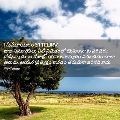 Picture 02 - 1 సమూయేలు 3:1 TELIRV - బాల సమూయేలు ఏలీ - Bible Verse Picture