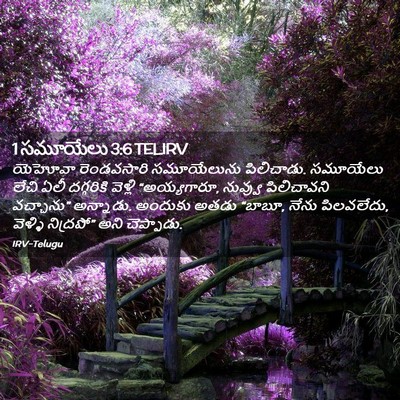 Picture 02 - 1 సమూయేలు 3:6 TELIRV - యెహోవా రెండవసారి - Bible Verse Picture