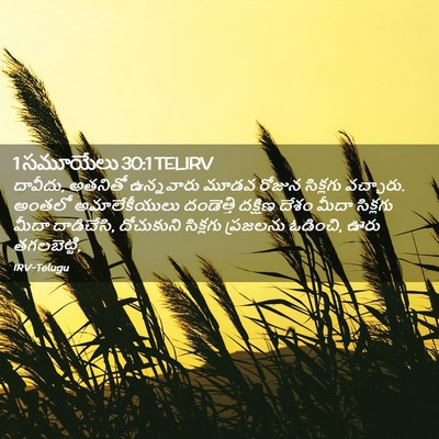 Picture 02 - 1 సమూయేలు 30:1 TELIRV - దావీదు, అతనితో - Bible Verse Picture