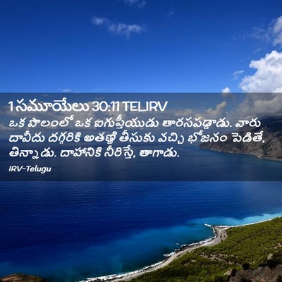 Picture 02 - 1 సమూయేలు 30:11 TELIRV - ఒక పొలంలో ఒక - Bible Verse Picture