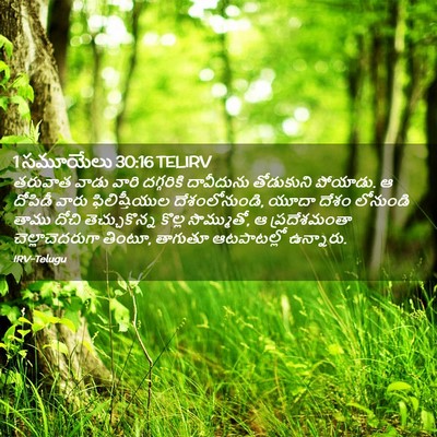 Picture 02 - 1 సమూయేలు 30:16 TELIRV - తరువాత వాడు వారి - Bible Verse Picture