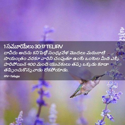 Picture 02 - 1 సమూయేలు 30:17 TELIRV - దావీదు అదను - Bible Verse Picture