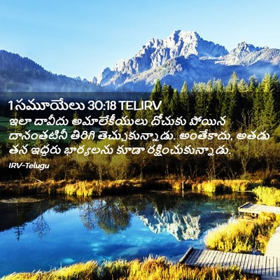 Picture 02 - 1 సమూయేలు 30:18 TELIRV - ఇలా దావీదు - Bible Verse Picture