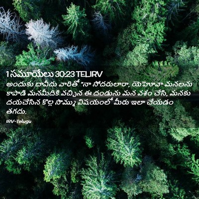 Picture 02 - 1 సమూయేలు 30:23 TELIRV - అందుకు దావీదు - Bible Verse Picture